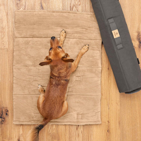 HUNDEMATTE - ALMA, Humus M-L