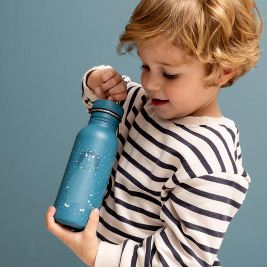 Trinkflasche 500ml - Mr. Triceratops