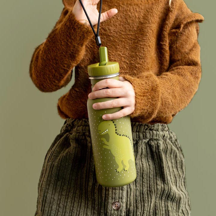 Trixie Trinkflasche 500ml - Mr. Dino