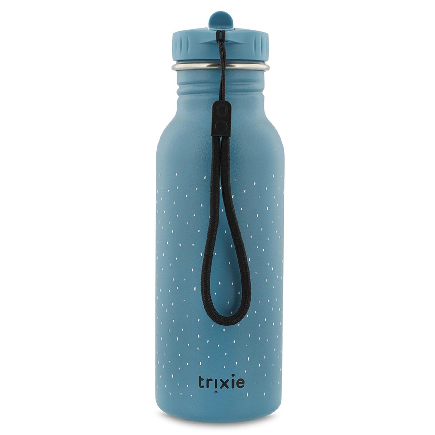 Trinkflasche 500ml - Mr. Triceratops