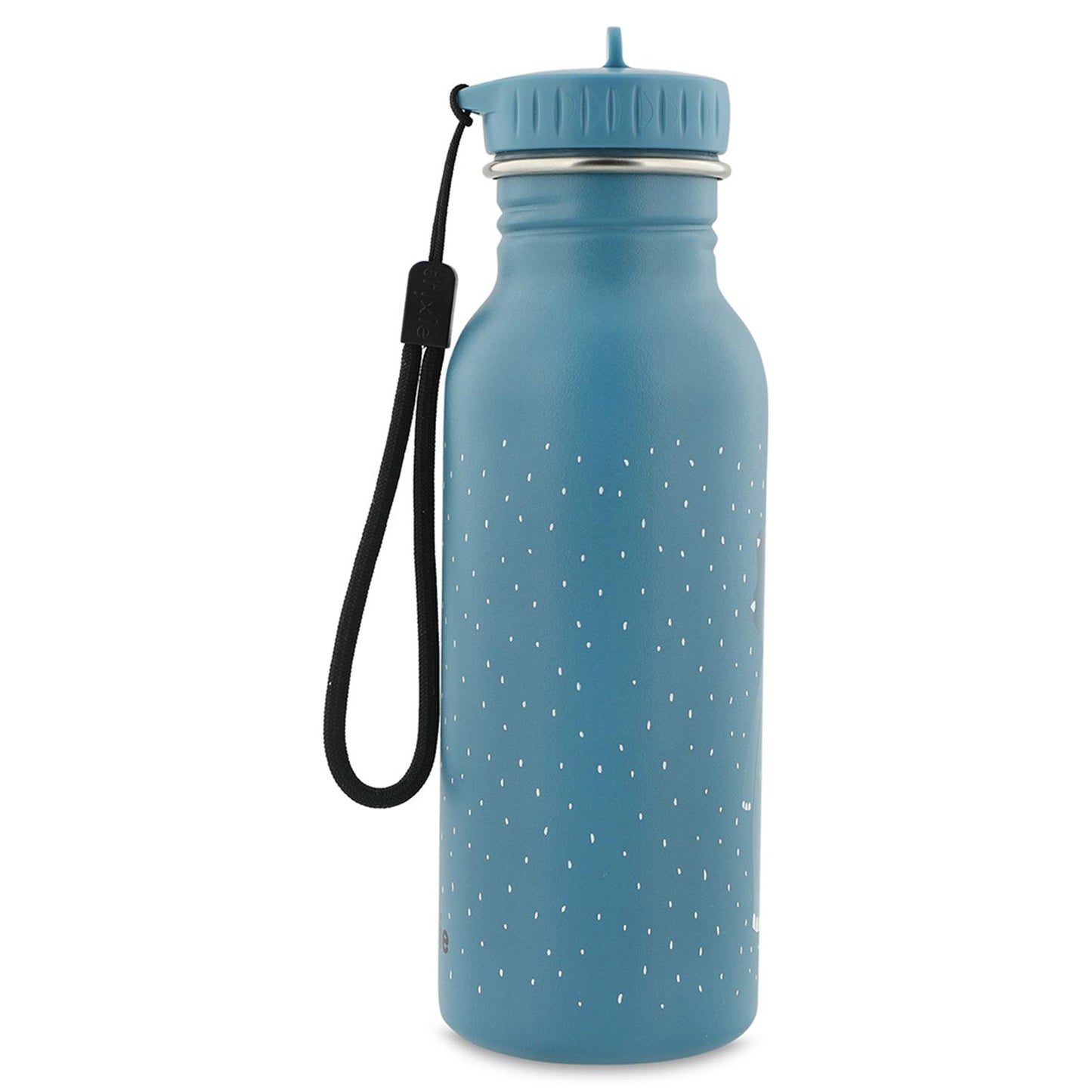 Trinkflasche 500ml - Mr. Triceratops
