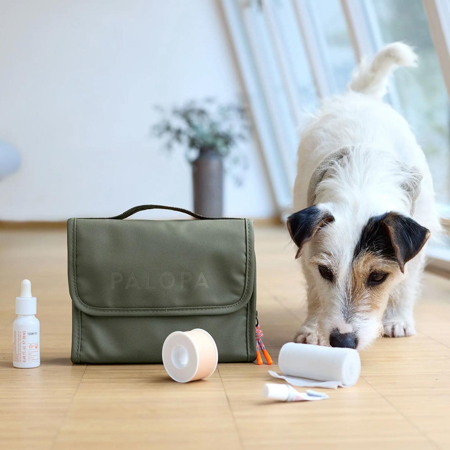 HUNDE ERSTE-HILFE-SET - BANO, dark olive