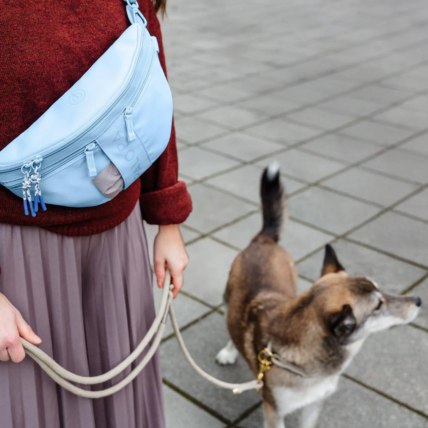 Palopa Bumbag Emma in hellblau beim Hundetraining im Einsatz – Petperten Karlsruhe