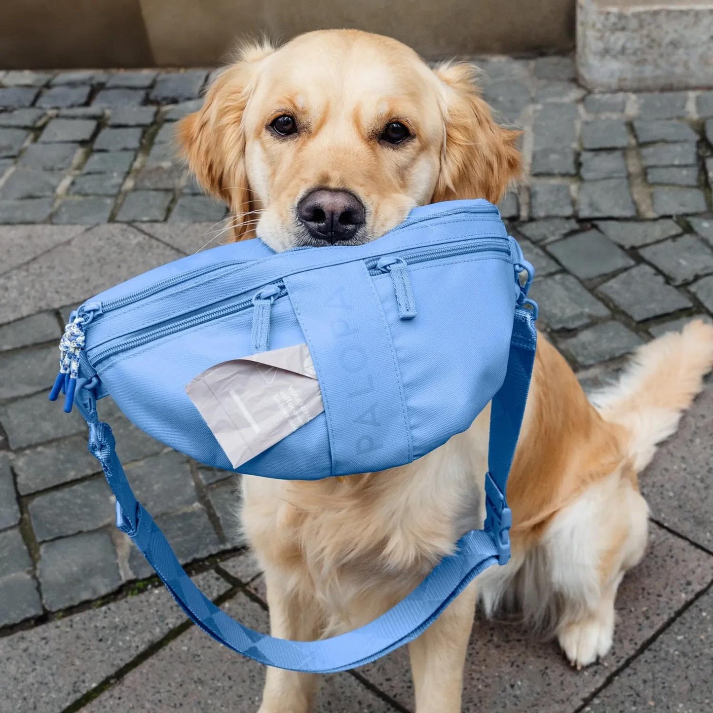 Palopa Bumbag Emma in himelblau mit integriertem Hundebeutel-Auslass – Petperten Karlsruhe