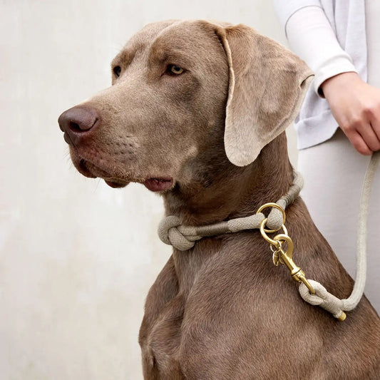 HUNDEHALSBAND GEFLOCHTEN - MILA, NATUR S-M (40cm)