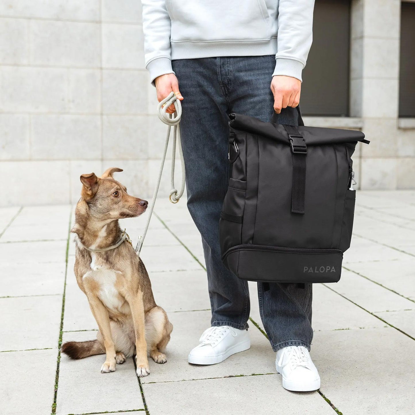 Rolltop Backpack Yoska black