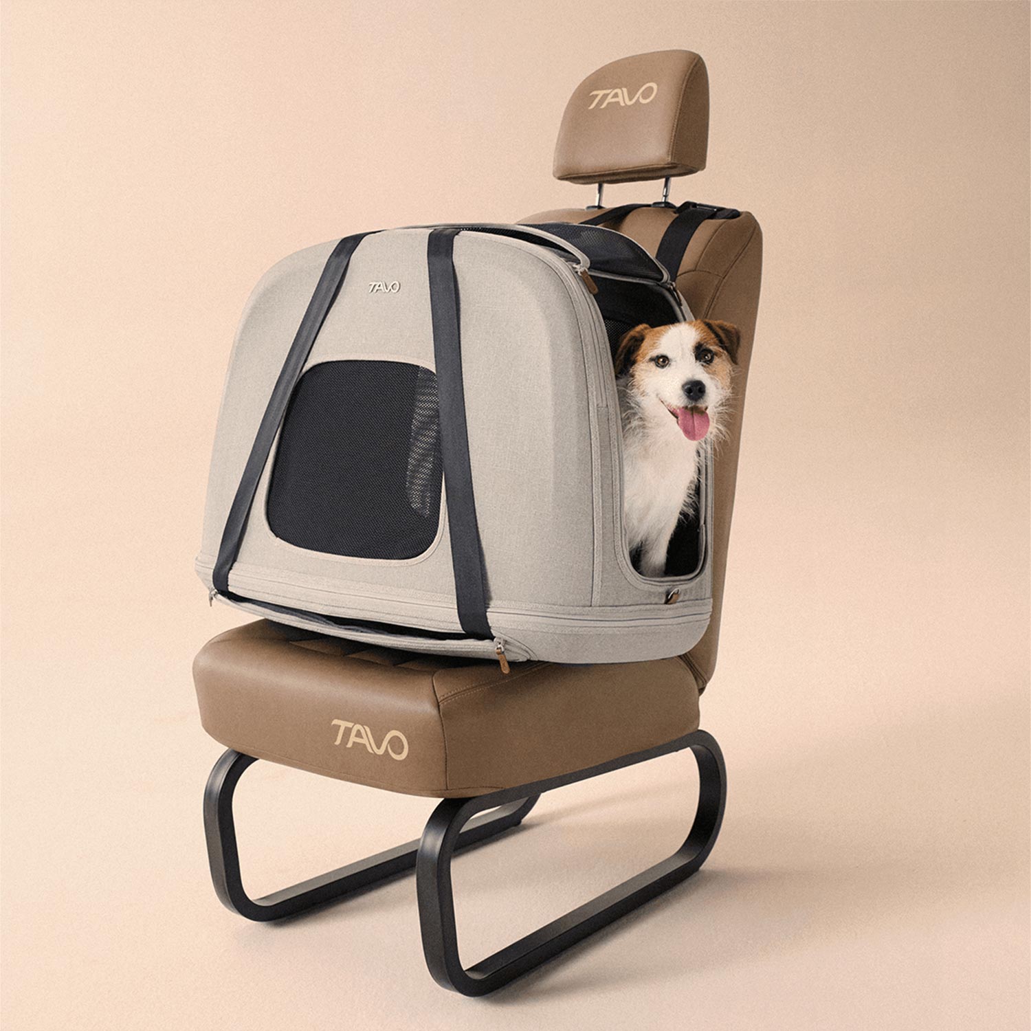 Tavo Pets Crispin merle medium montiert mit Jack Russell Terrier, Transporttasche für Hunde mit Isofix-Befestigung, Sicherheitstest, Beratung bei Petperten Karlsruhe