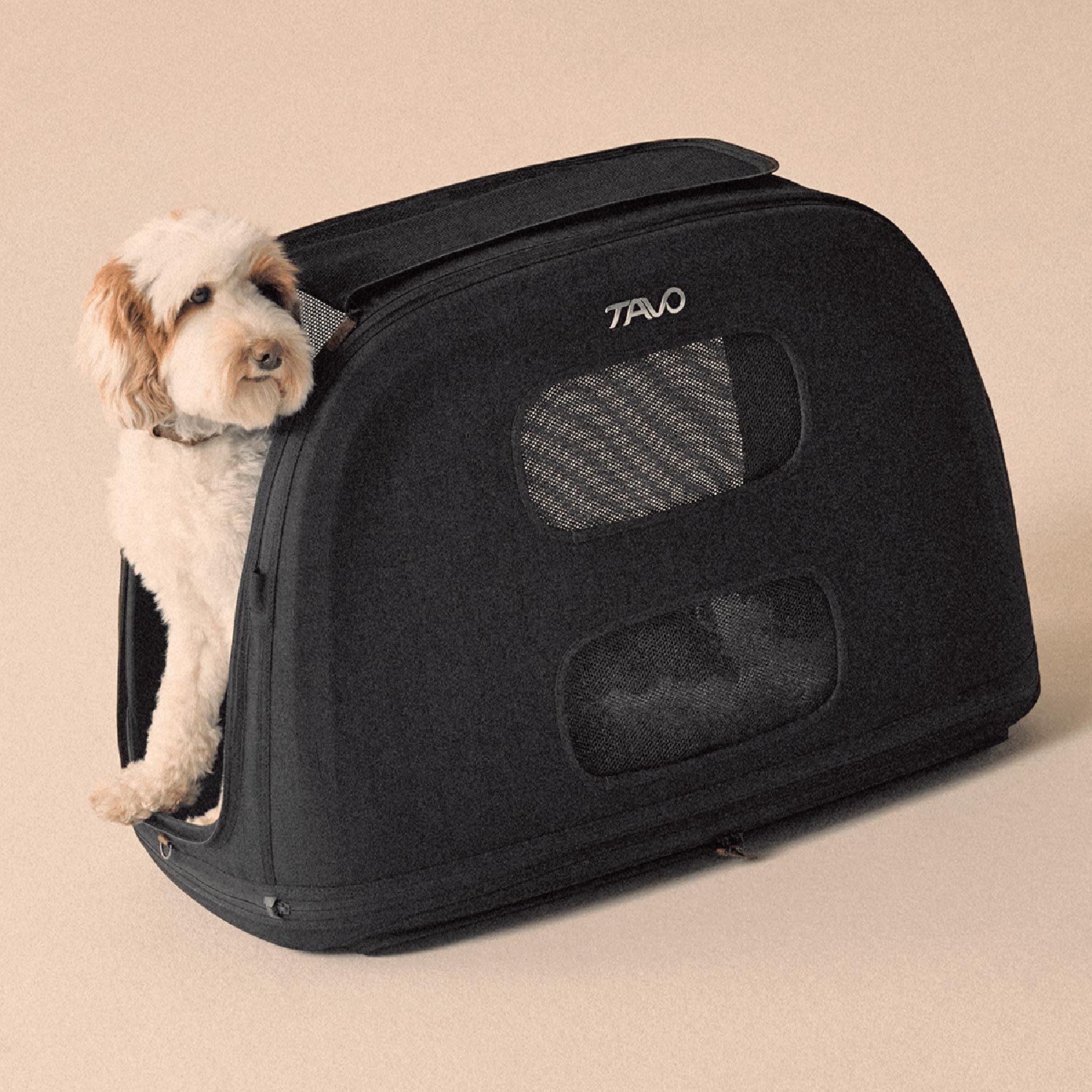 Tavo Pets Crispin onyx large Transporttasche für Hunde mit Isofix-Befestigung, Sicherheitstest, Beratung bei Petperten Karlsruhe