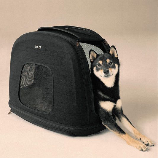 Tavo Pets Crispin onyx medium mit Hund, Transporttasche für Hunde mit Isofix-Befestigung, Sicherheitstest, Beratung bei Petperten Karlsruhe