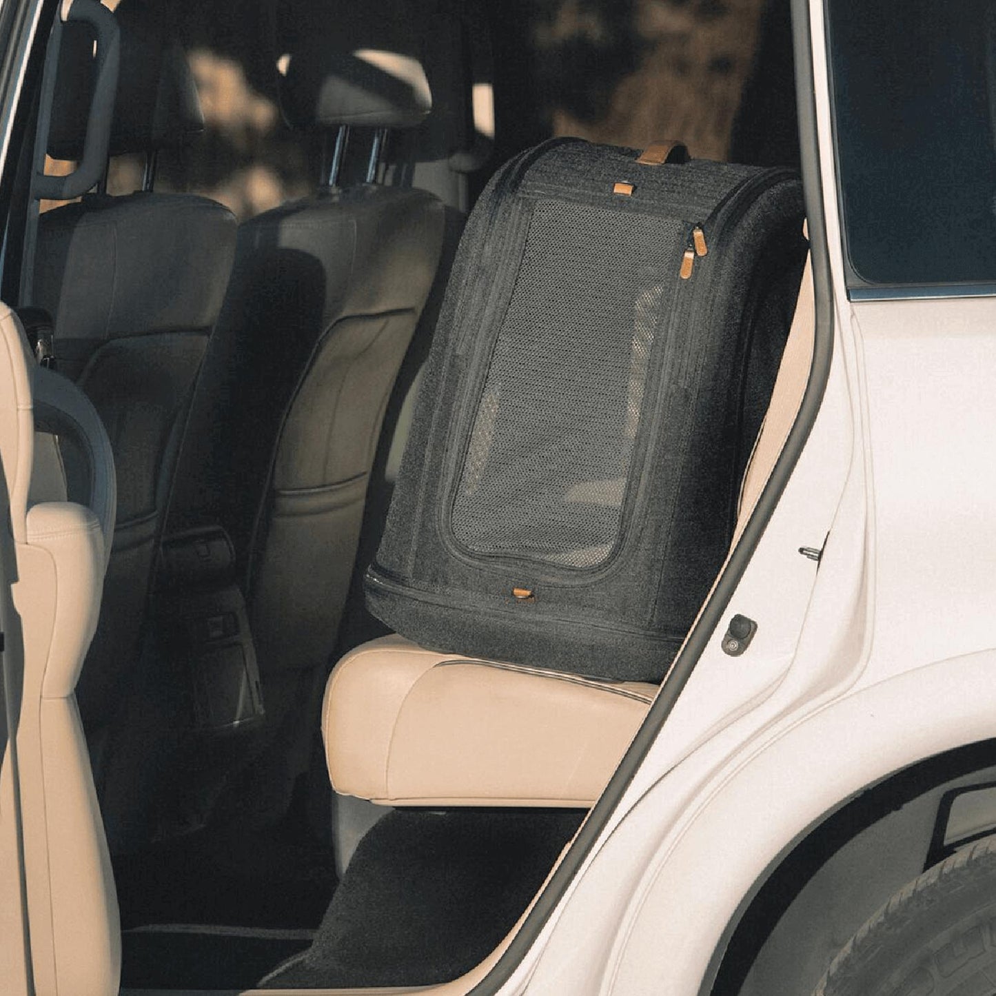 Tavo Pets Crispin onyx medium im Auto, Transporttasche für Hunde mit Isofix-Befestigung, Sicherheitstest, Beratung bei Petperten Karlsruhe
