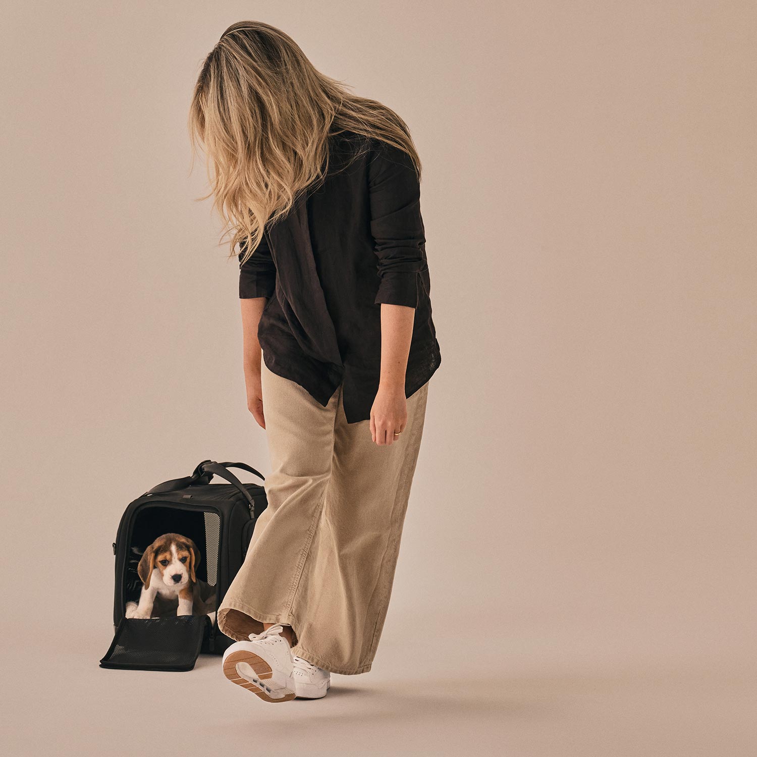 Beagle Welpe mit Tavo Pets Hendrick Transporttasche Onyx für Hunde und Katzen mit Isofix-Befestigung, Sicherheitstest, Beratung bei Petperten Karlsruhe