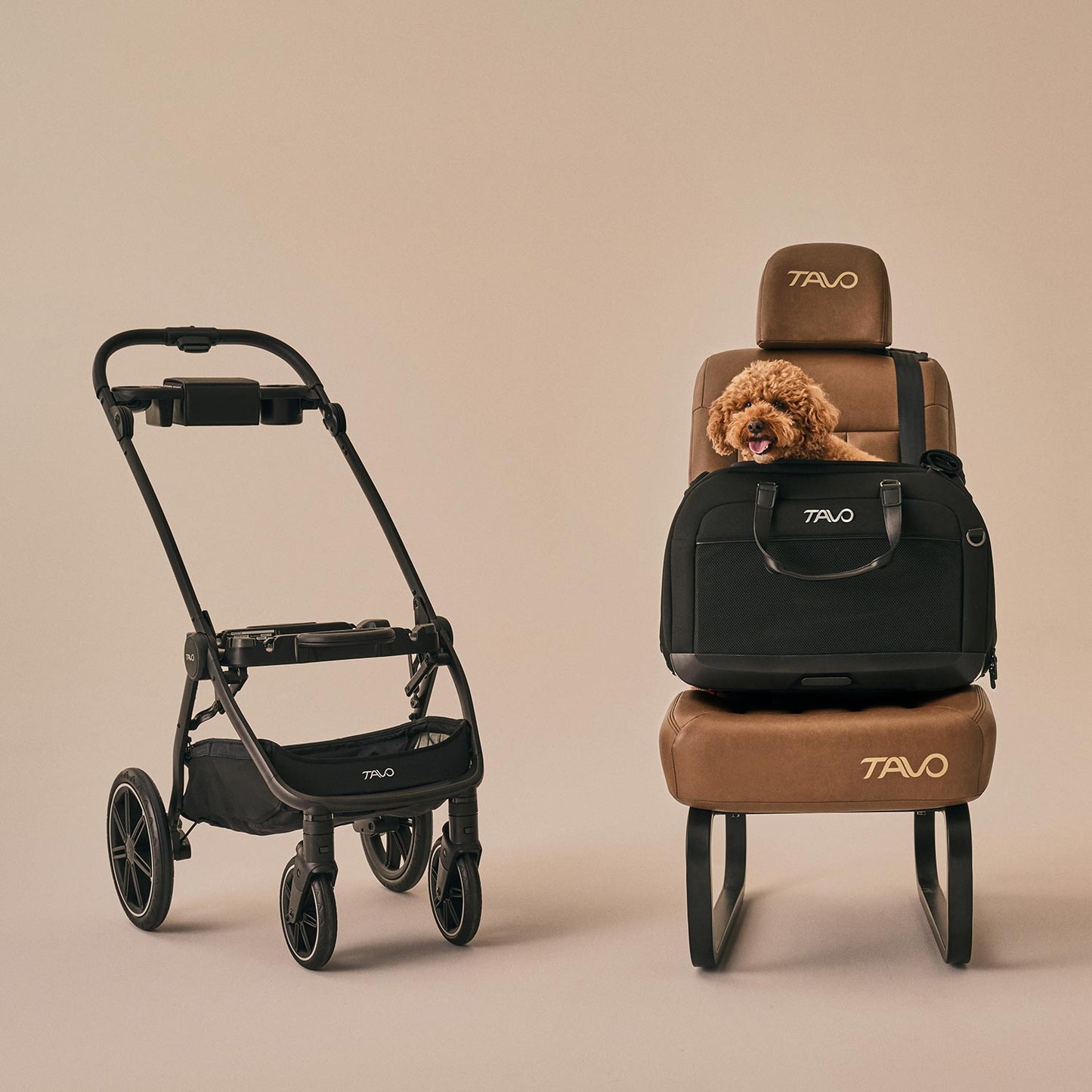 Pudel mit Tavo Pets Hendrick Transporttasche Onyx für Hunde und Katzen mit Isofix-Befestigung und Buggygestell Roscoe Trek, Sicherheitstest, Beratung bei Petperten Karlsruhe