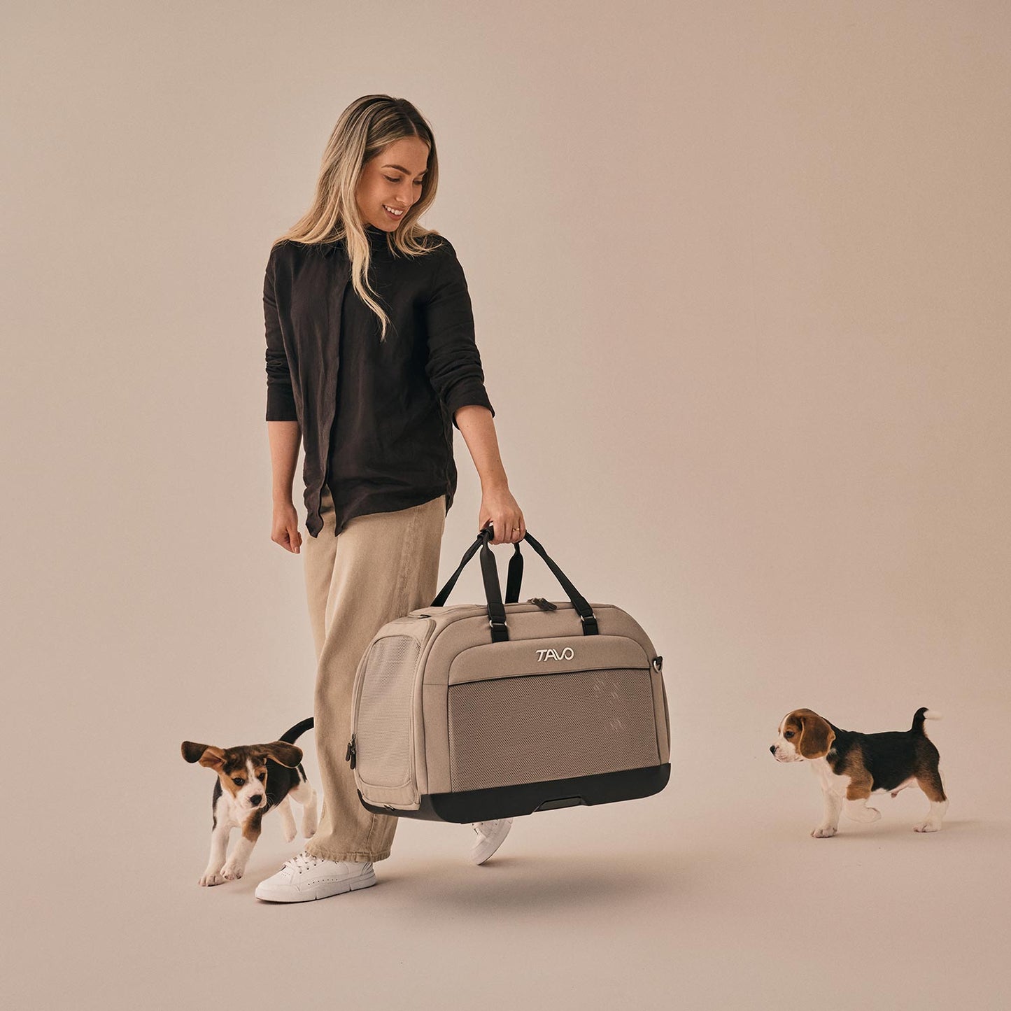 Zwei Beagle Welpen mit Tavo Pets Hendrick Transporttasche Tawny für Hunde und Katzen mit Isofix-Befestigung, Sicherheitstest, Beratung bei Petperten Karlsruhe