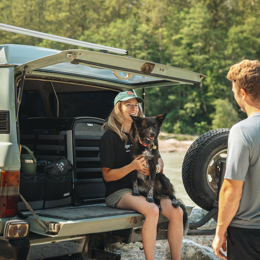 Thule Allax Hundebox M