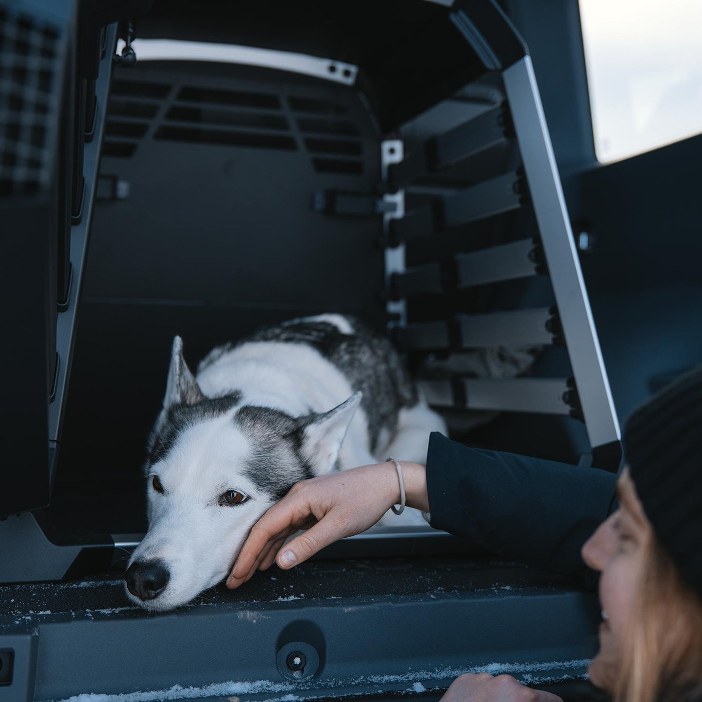 Thule Allax Hundebox XL