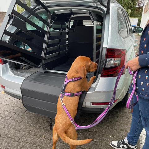 Thule Allax Hundebox L Compact