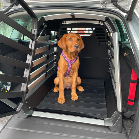 Thule Allax Hundebox L