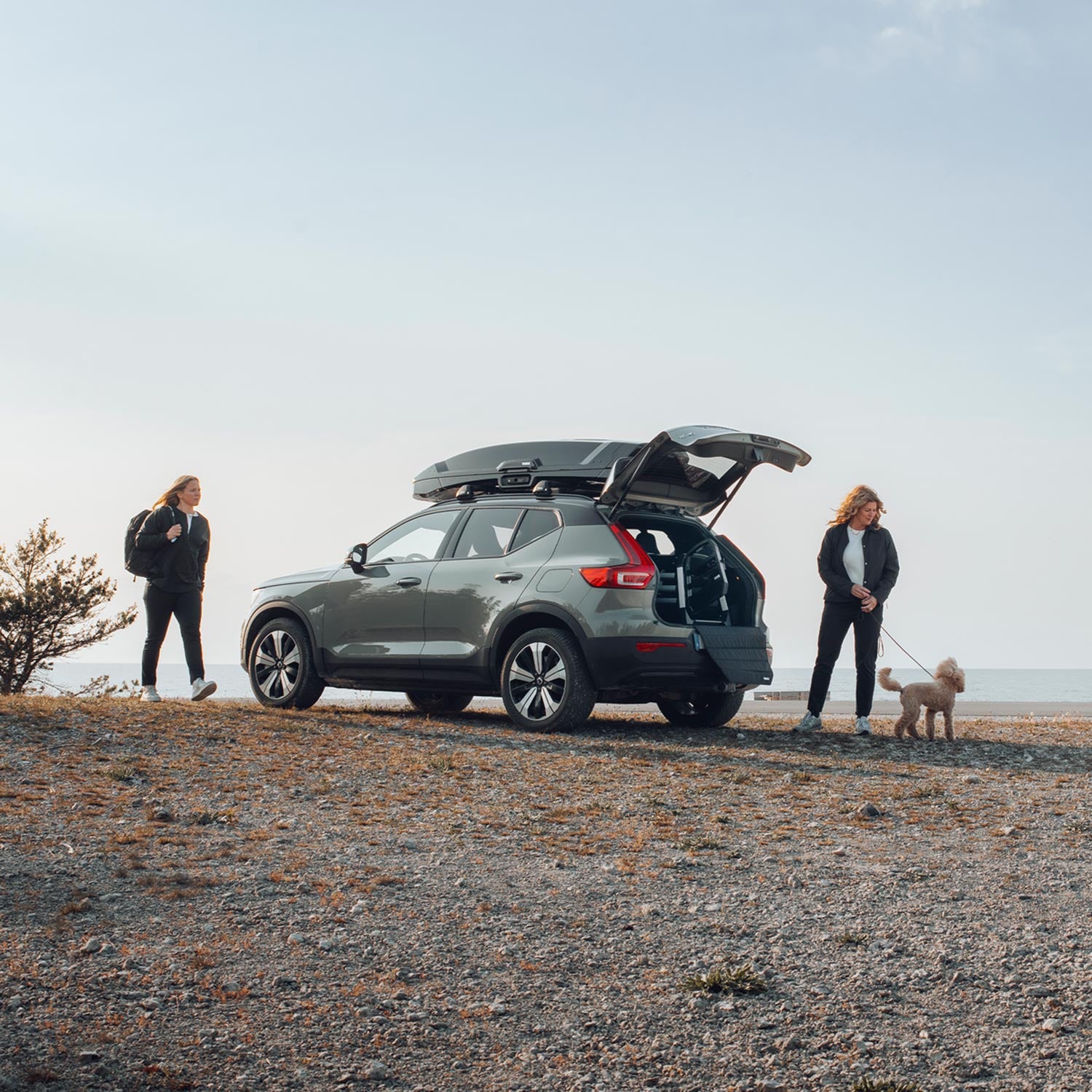Thule Allax Hundebox M im Kofferraum, Volvo am Strand, geeignet für Pudel, Beratung bei Petperten Karlsruhe