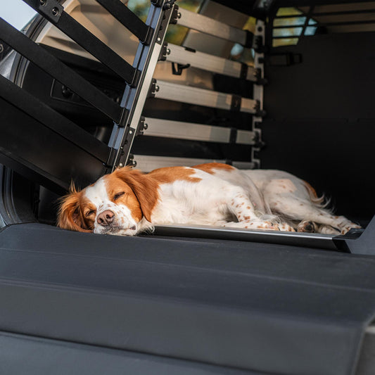 Thule Allax Hundebox offen mit Ladekantenschutz und Hund im Kofferraum, Beratung bei Petperten Karlsruhe