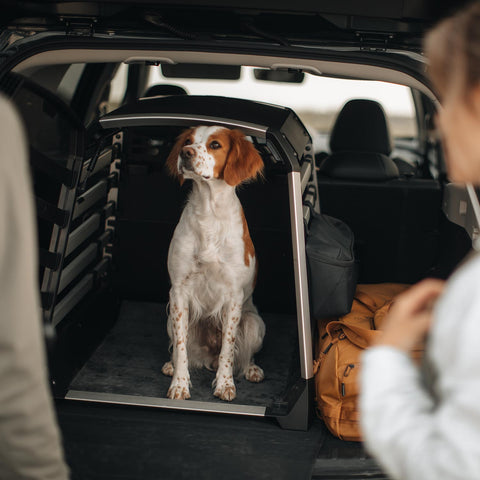 Thule Allax Hundebox XXL Compact
