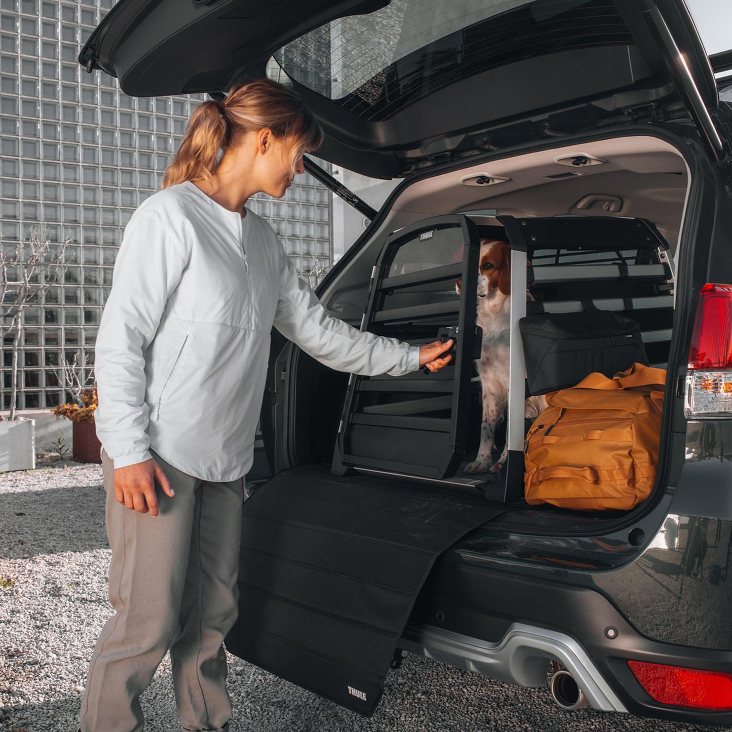 Thule Allax Hundebox XXL