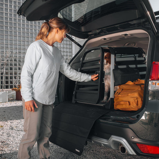 Thule Allax Hundebox XXL