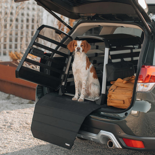 Thule Allax Hundebox mit Storagebag und Ladekantenschutz mit Hund im Kofferraum, Beratung bei Petperten Karlsruhe