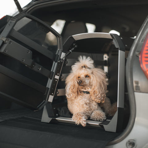 Thule Allax Hundebox XS