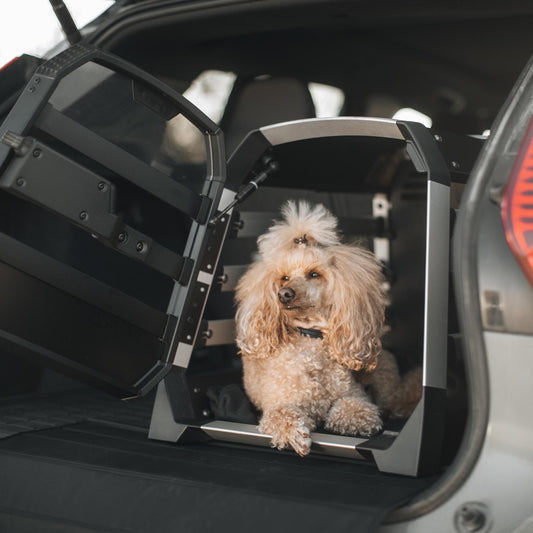 Thule Allax Hundebox XS